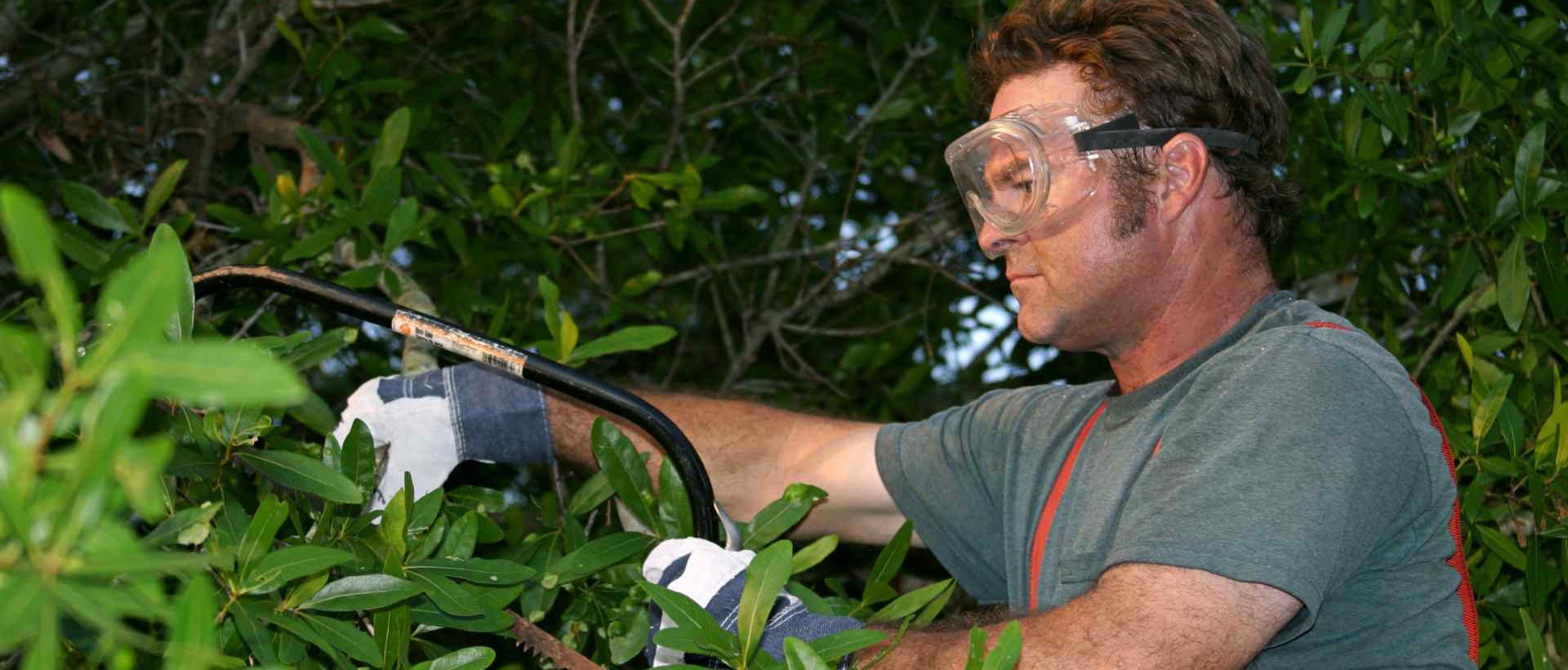 garden clearance E16