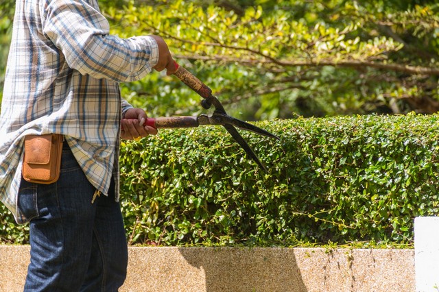 Garden Maintenance Canning Town, North Woolwich, E16